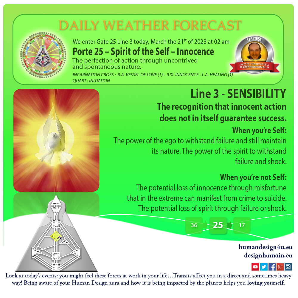 daily-weather-forecast